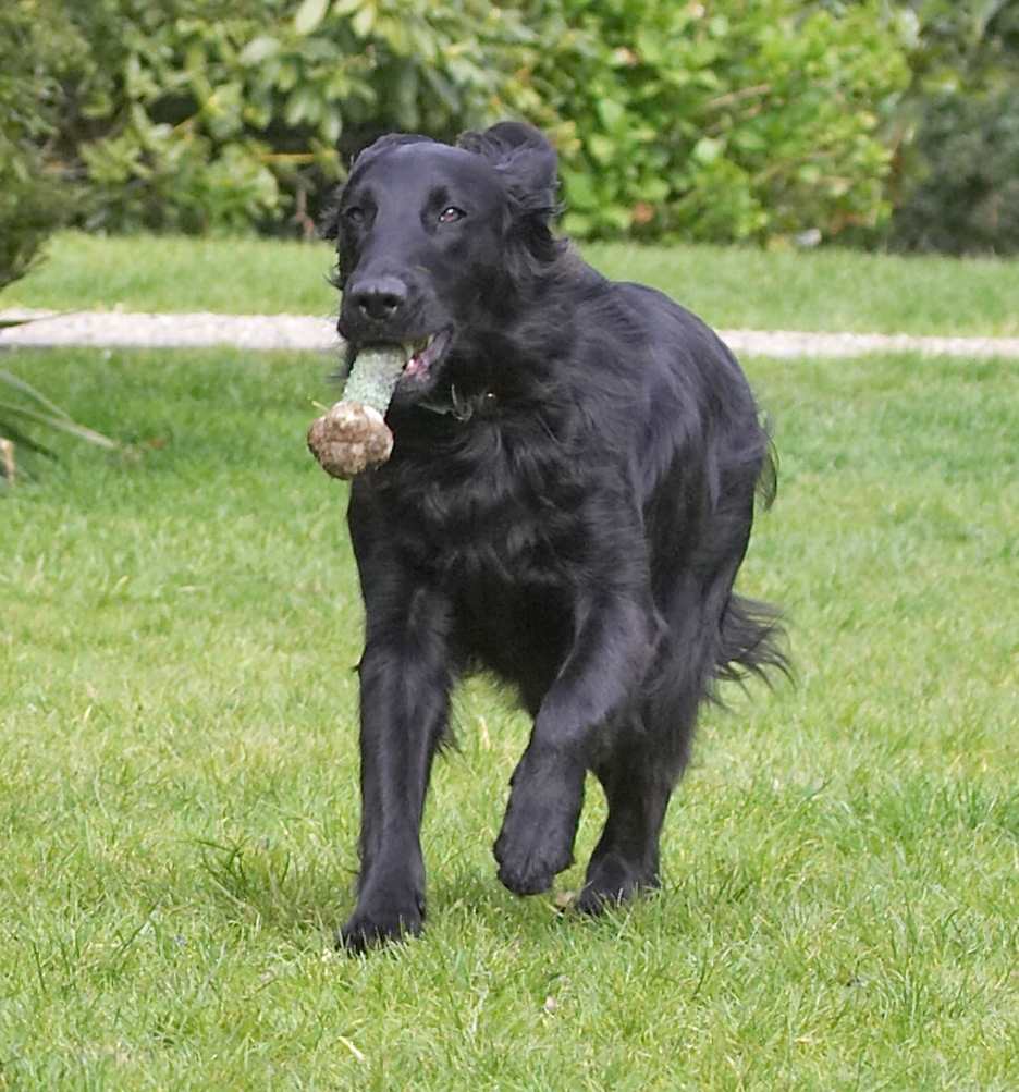 See, Mom, Dad, I did do some exercise