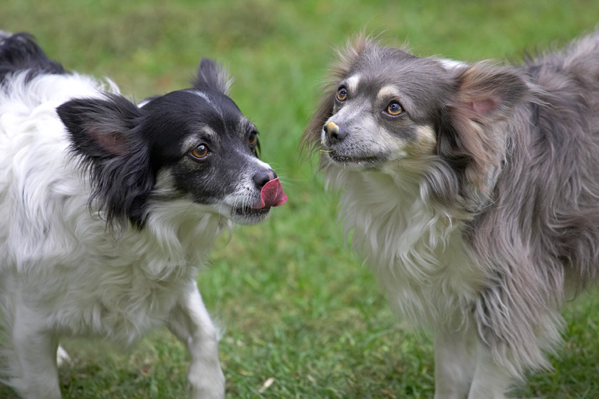 Matt and Rose Enjoying Some Peanut Butter