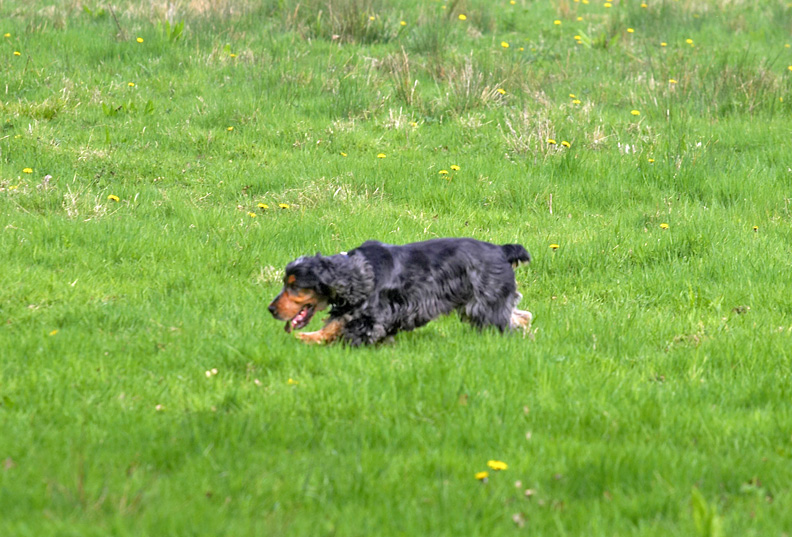 Wally on a mission
