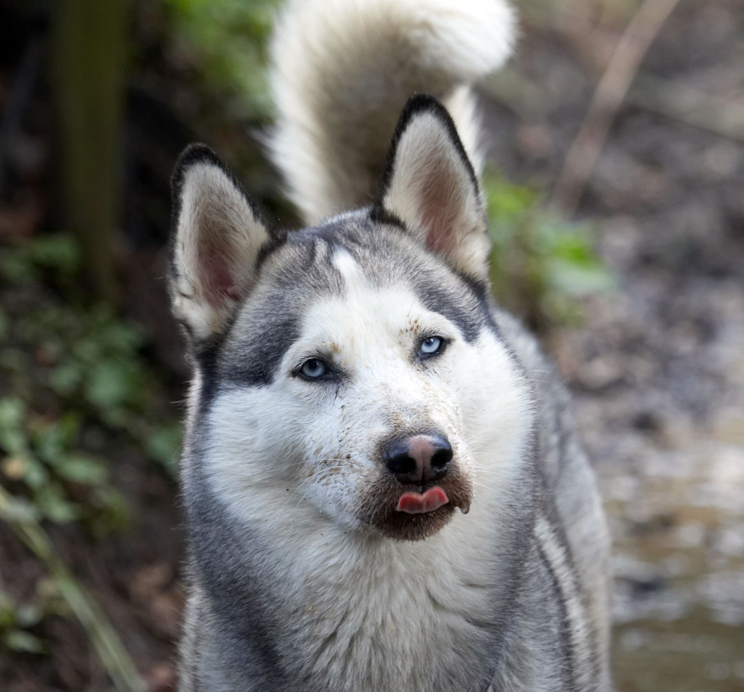 Is my time up? ..........