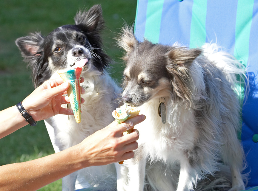 A summer treat