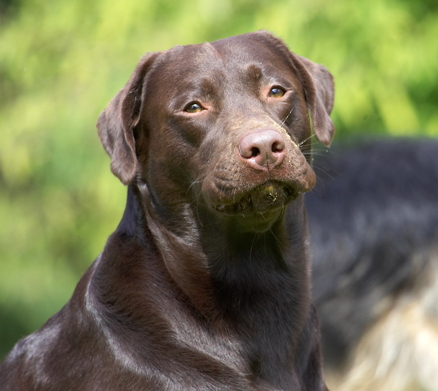 This is my "give me more" look