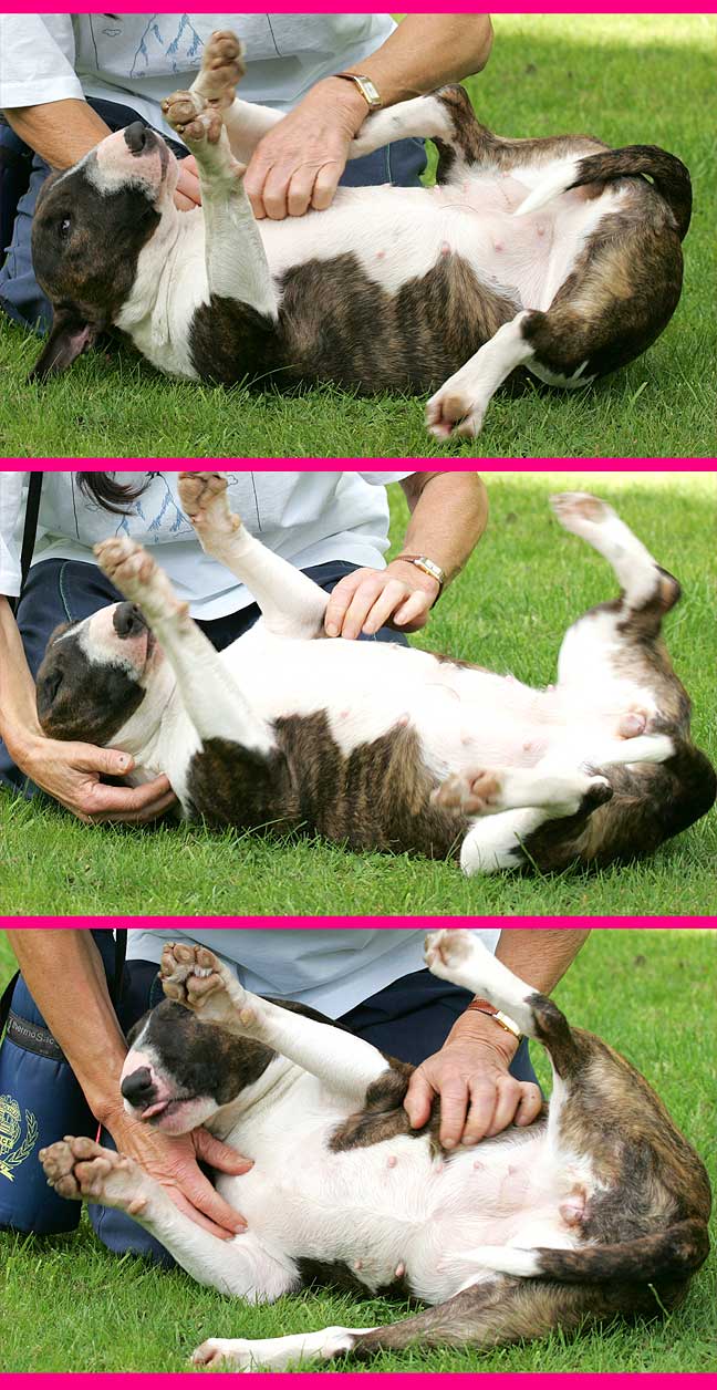 Gucci Having Cuddles