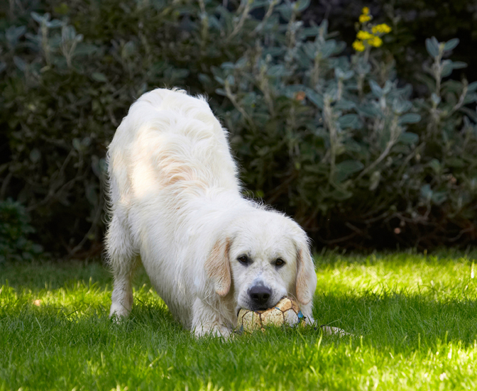 I've got it under control.........