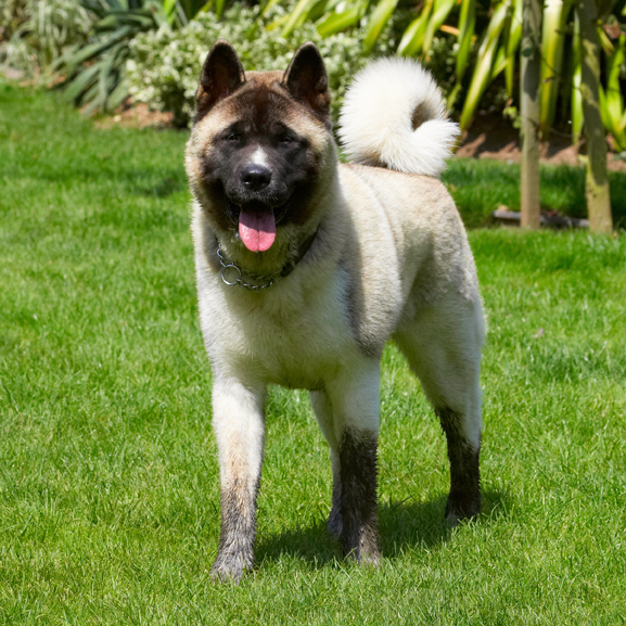 Whaddya mean I got muddy boots?!