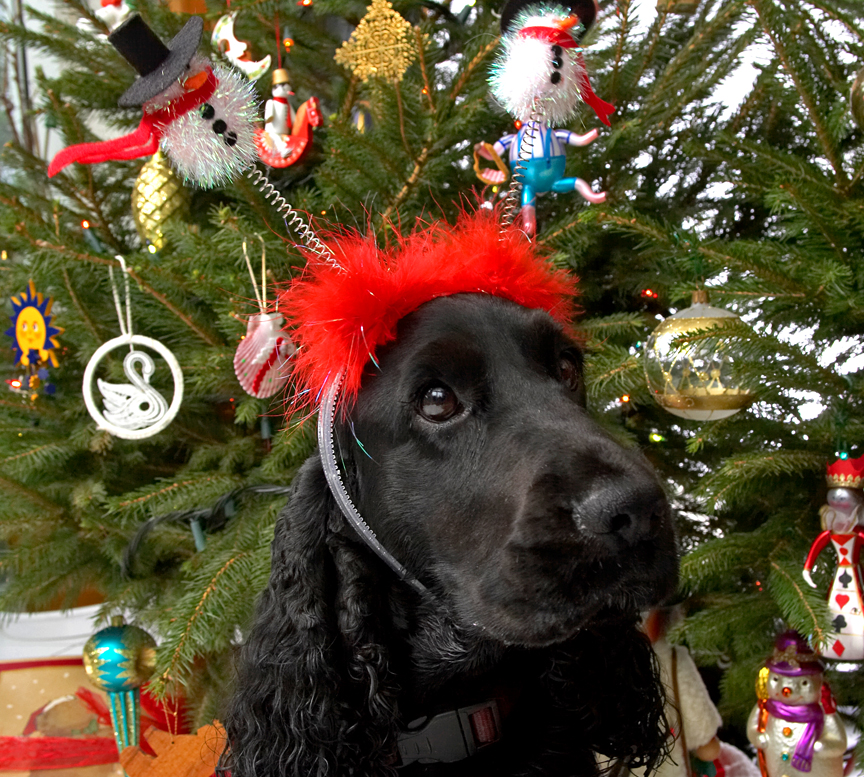 Woody and the Snowmen