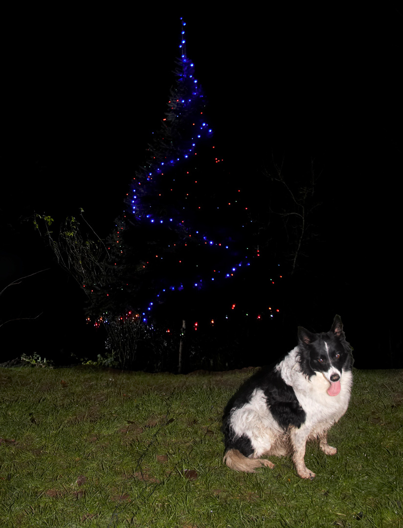 I'll sit here for a minute