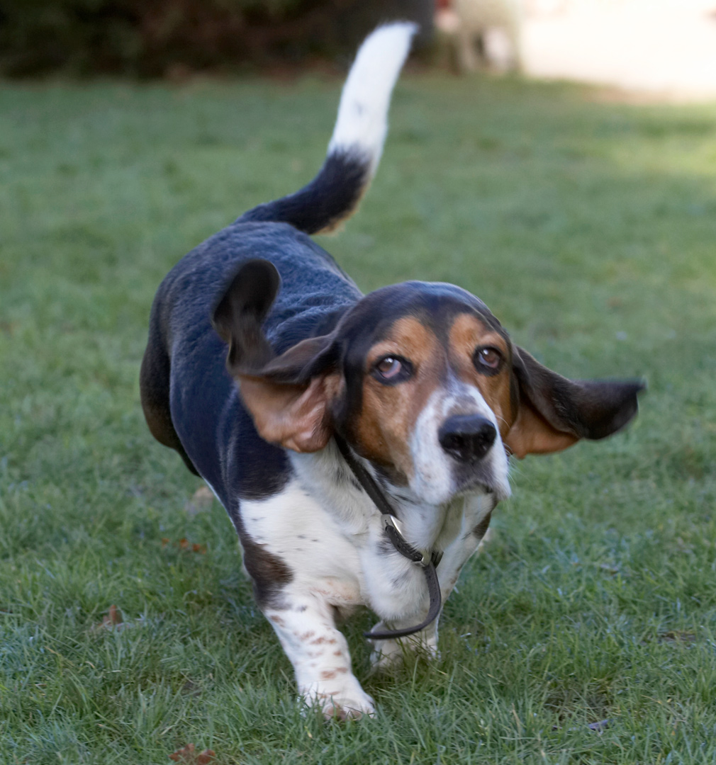 Hey, wot you pointing at me?!