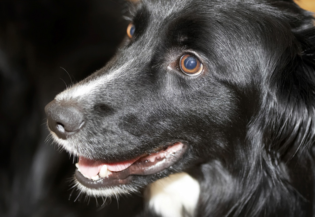 I'm taking it all in