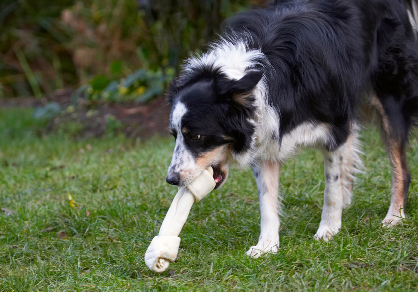 Jus' gotta get a handle on this