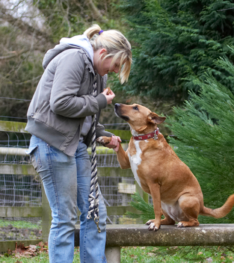 OK, do I get the cookie now?