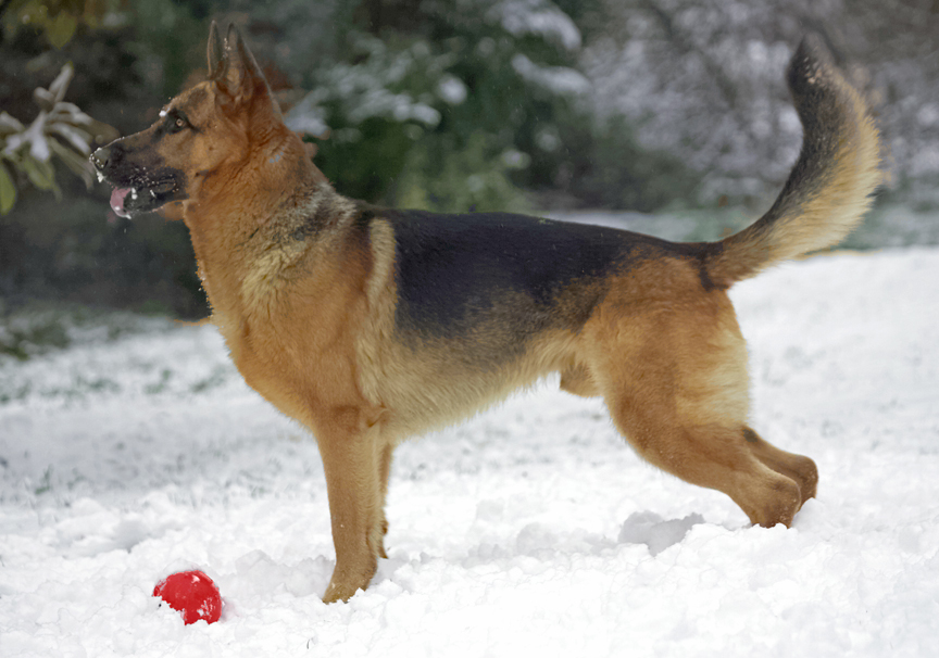 This is the perfect weather for me