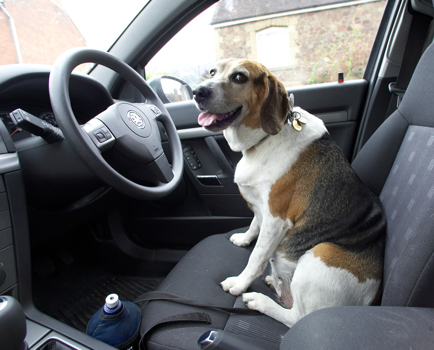 Well, tell me which way to go then