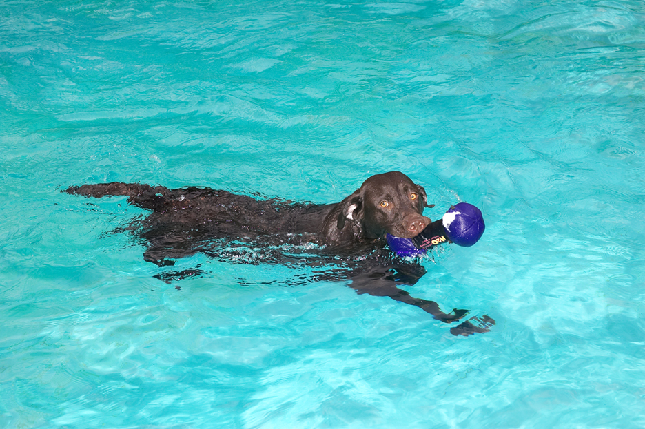 Geroge Having A Swim