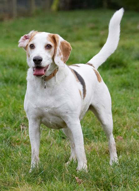 ......... I'm still waiting