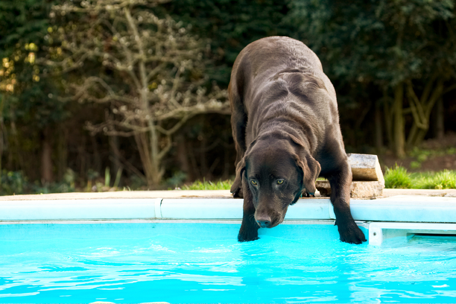 OK, time for another go