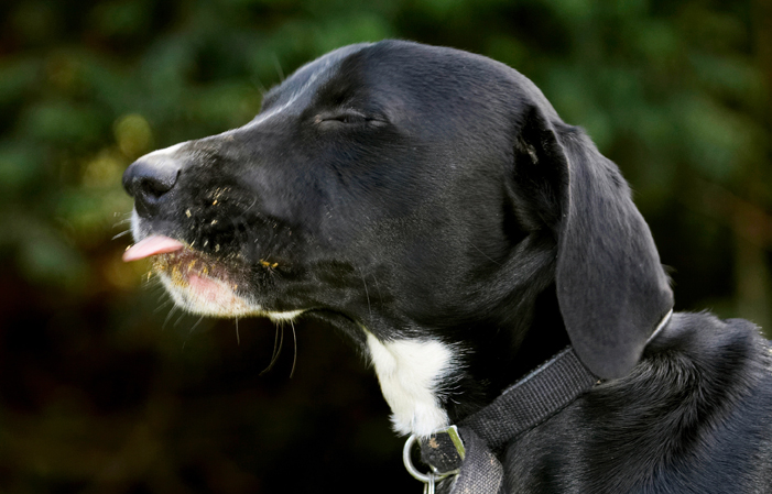 Jus' savouring the moment