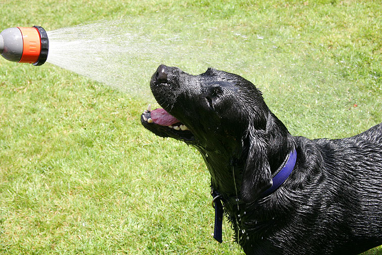 Ooooh, That Feels Good