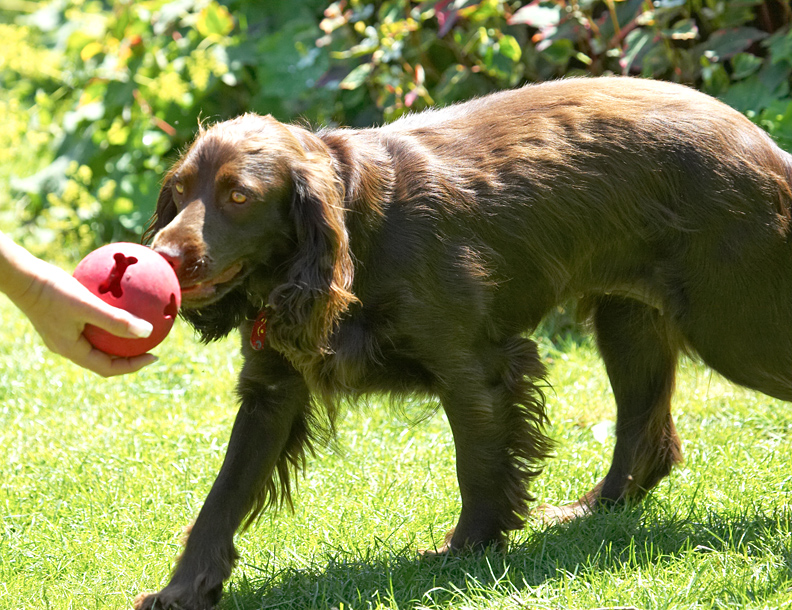 So, where are the treats?