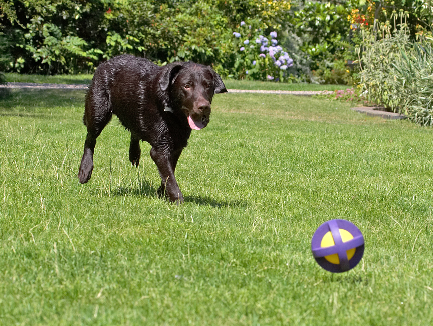 This running around will soon have me dried off