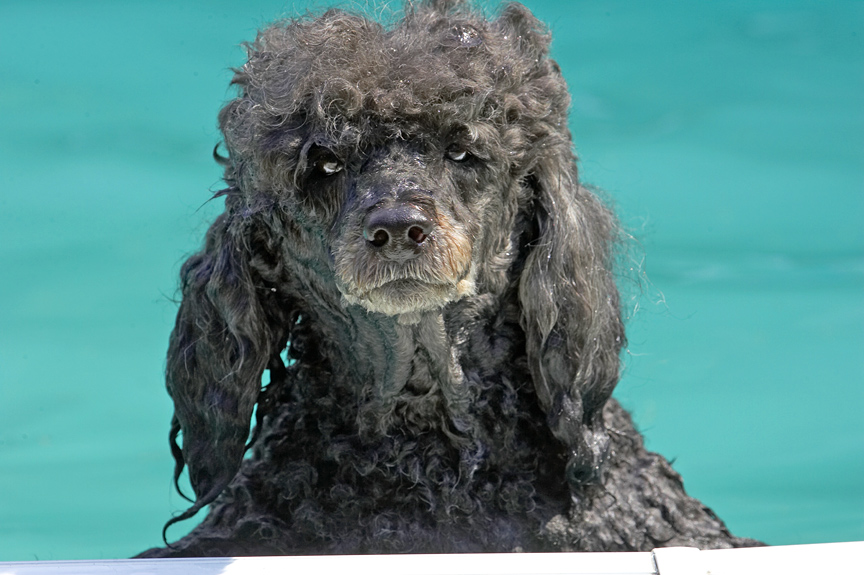 Look at the state of my hair.................