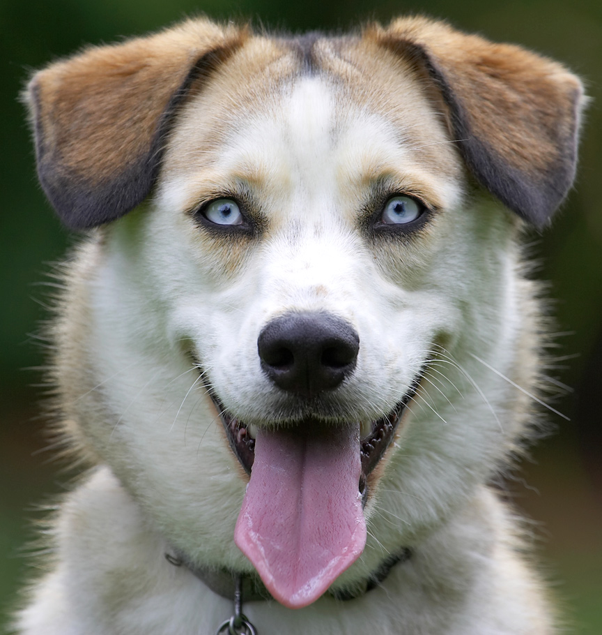 Huh, and the called Frank Sinatra 'ol blue eyes'!