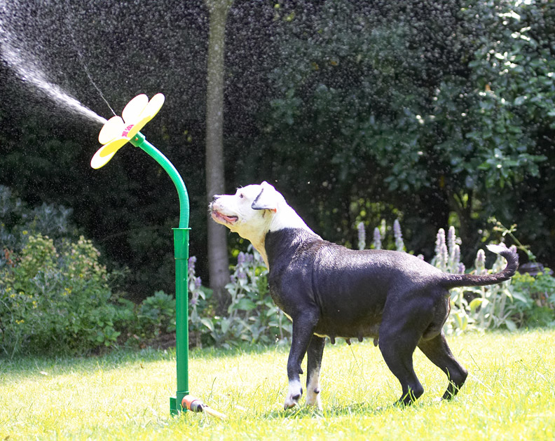 Hey, I'm over here!