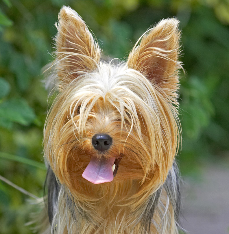 Whaddya mean my hair is in my eyes?