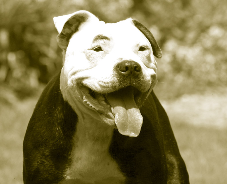 Cool, a black and white picture of me