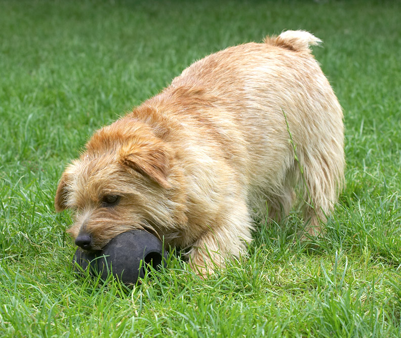 Now how do I pick this up?