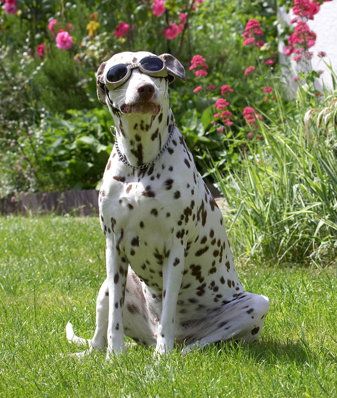 Where did the sun go?