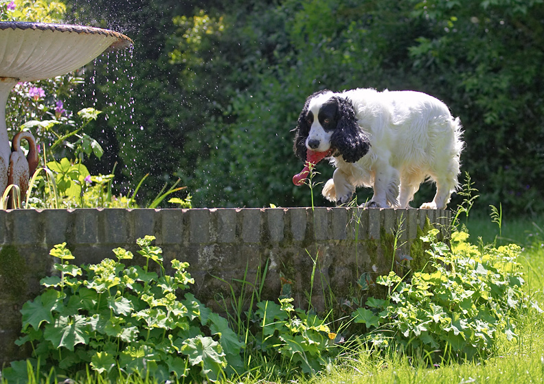 This is as easy as tight-rope walking