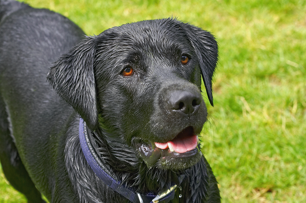 ............. please