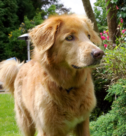 Jus' surveying the territory