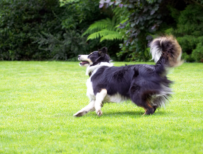 ............. I'm ready