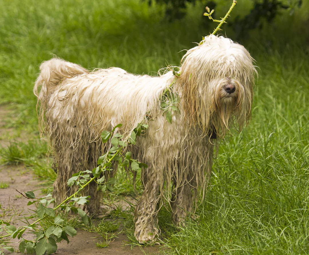 Hey, every cool dude needs one of these