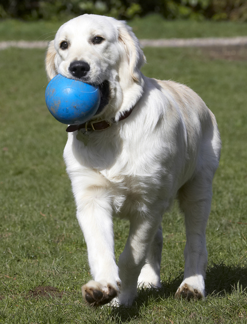 This is hard work, you know