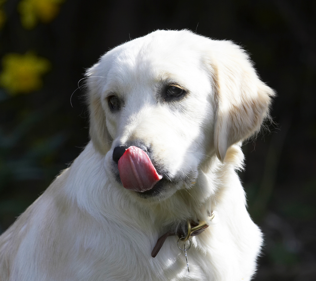 Gotta make sure I get it all