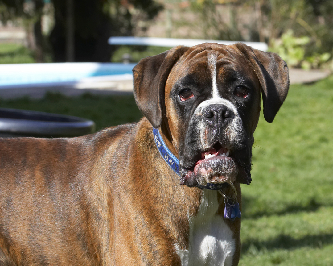 I'm not worried, honest