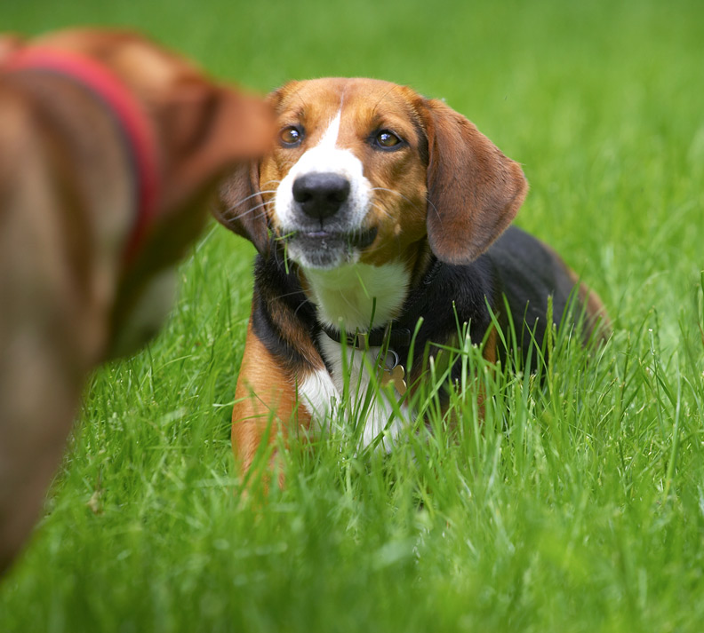 Ooh, what have you got on your face?