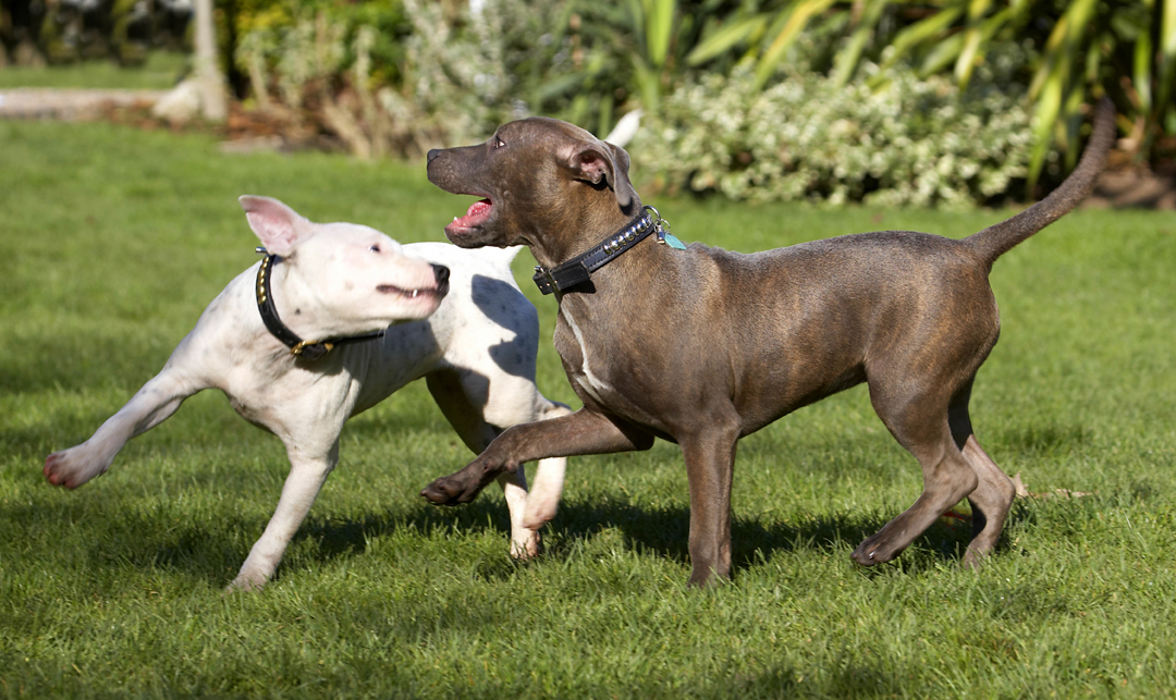 Go on, give it your best shot.......