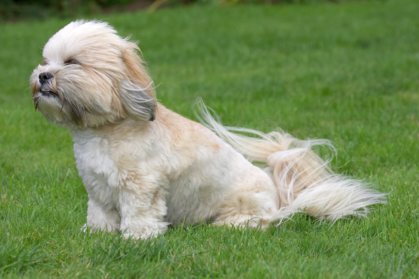 Boy, it's like being in a wind tunnel