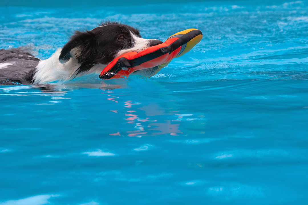 Another succssful retrieval