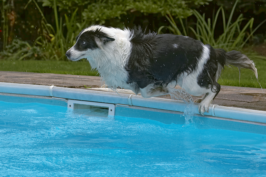 And we have lift off