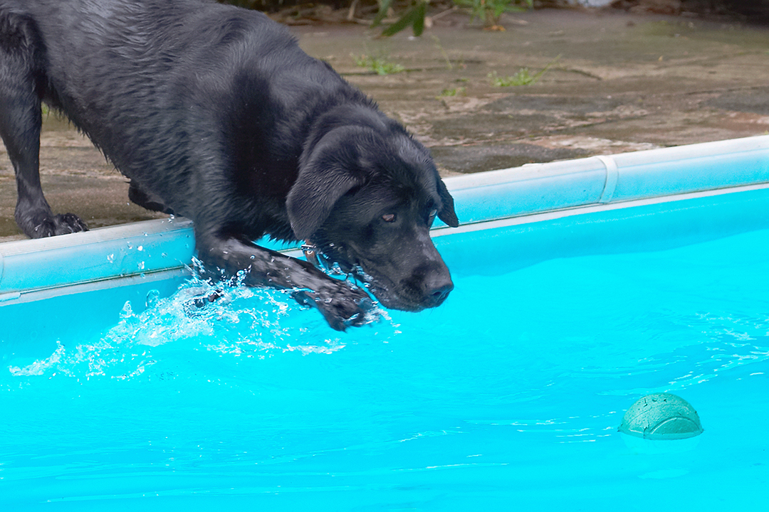 Oh no, please don't go away