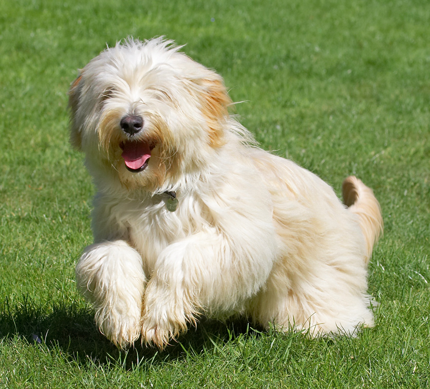 This is a new move dontya know