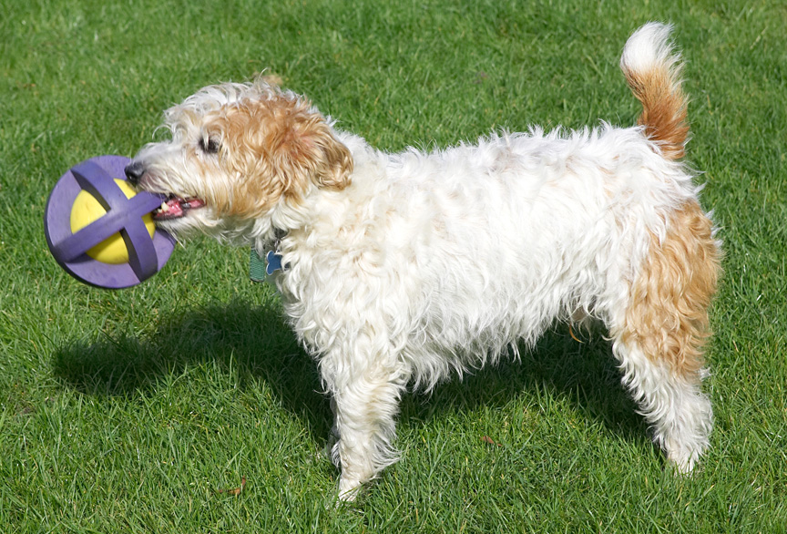 This is my absolute favourite toy