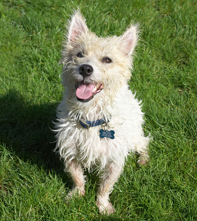 Look at me sitting all attentive