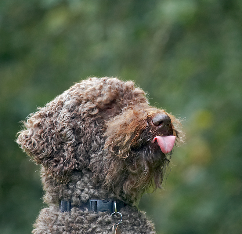 .... hmmm, on the other hand .......