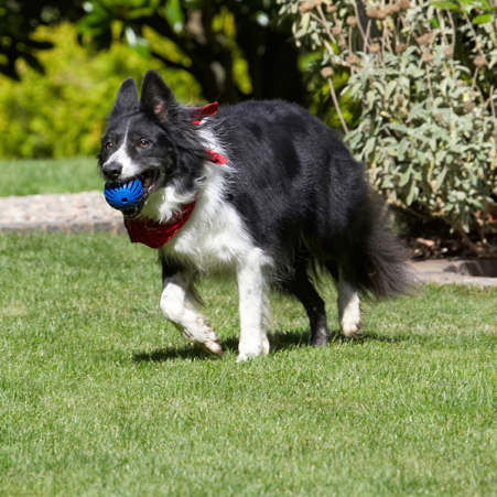 I'm taking this somewhere else